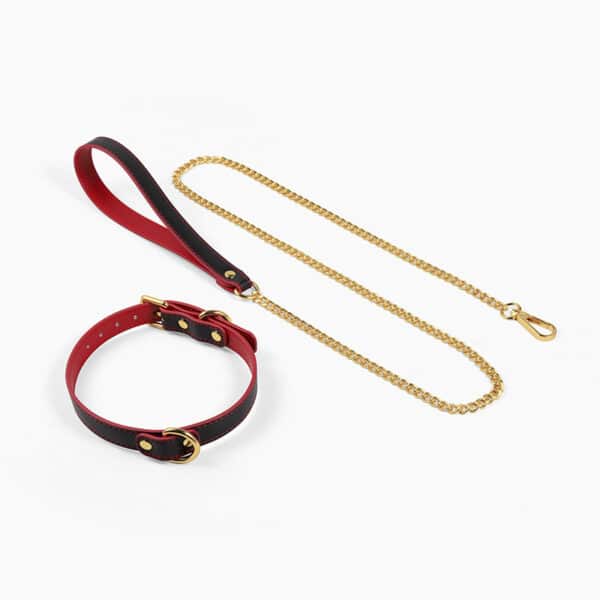 SM Training Collar with Leash – K9 Pet Play Restraint BDSM Gear for Dominant Submissive Roleplay - Image 5