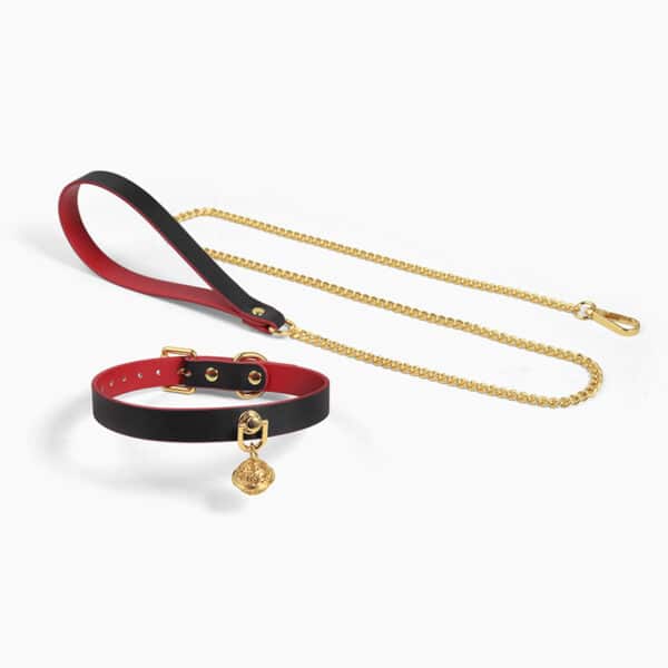 Adjustable PU Leather BDSM Collar with Bell – High-End Bondage Choker with Leash for Roleplay & Submission - Image 2