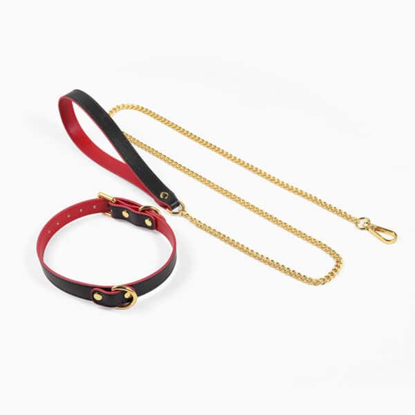 SM Training Collar with Leash – K9 Pet Play Restraint BDSM Gear for Dominant Submissive Roleplay - Image 4