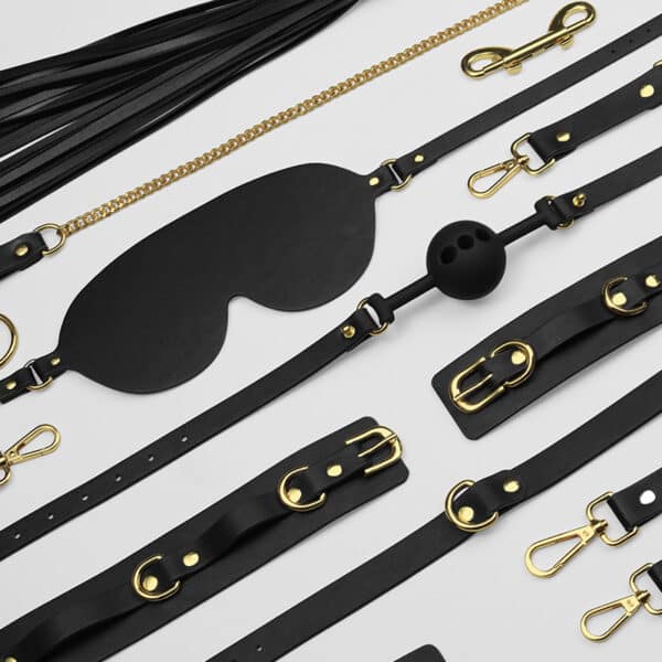 Deluxe Leather BDSM Kit – Bondage Restraint Set with Whip, Collar, Blindfold & Ball Gag in Storage Case - Image 4