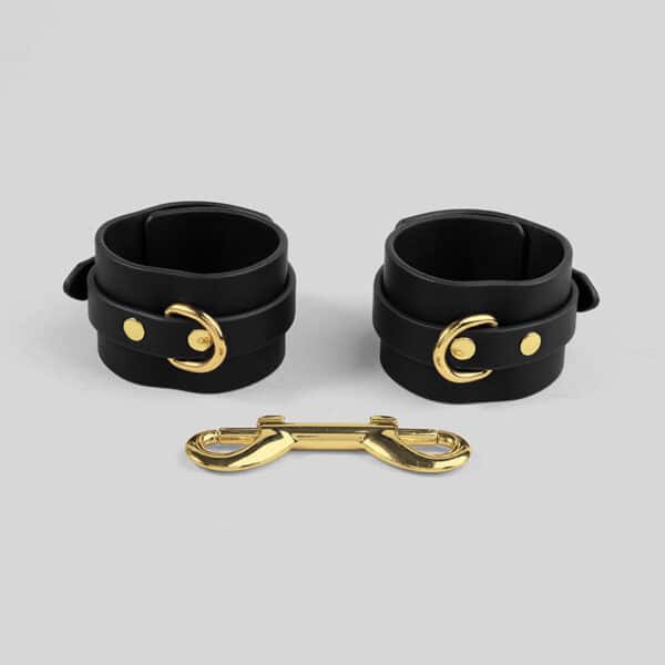 Deluxe Leather BDSM Kit – Bondage Restraint Set with Whip, Collar, Blindfold & Ball Gag in Storage Case - Image 2