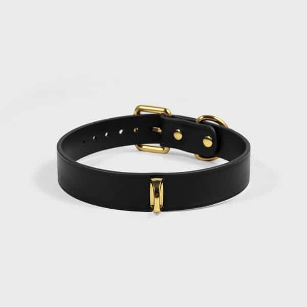 Luxury Genuine Leather BDSM Collar with Leash – Adjustable Slave Neck Restraint for K9 Play & Couple Bondage Gift - Image 2